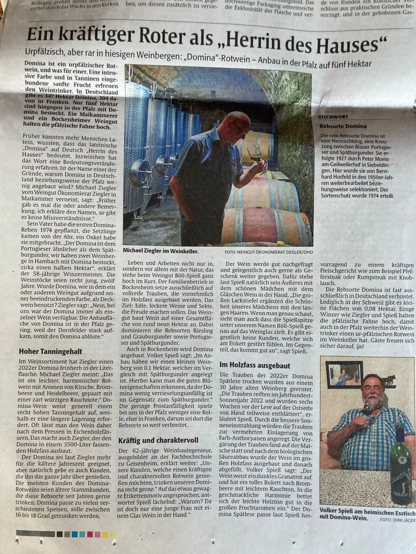 Domina-Bericht-„DIE RHEINPFALZ“ vom 29.03.2025